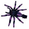 Unique Spiders Shape Hair Clip Multipurpose Hair Clip Sophisticated Small Hairpin for Fashion Enthusiasts