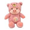 2025 Plush Stuffed Toys Cartoon Pig Doll Early Educational Development Toy