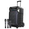 SANSUI D15 15-inch Portable Outdoor KTV Speaker with Wireless Mic (CN Version)