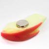 stomach will rumble every time you look at Rabbit Apple Food Sample Magnet Gift 159M Coconut Accessories [Your it] - Cute, Funny, Souvenir, -