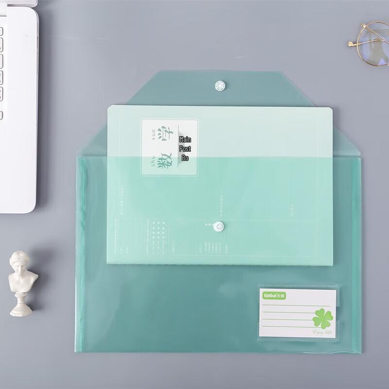 A4 Transparent Plastic Snap Document Bags