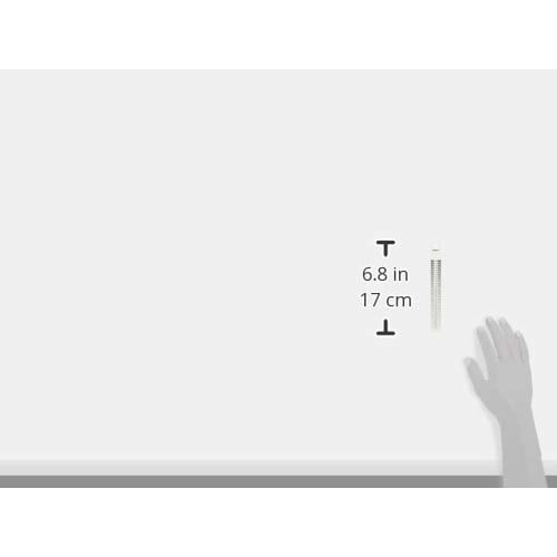 DOGYU Double-Sided Resin Crack Scale, 02755