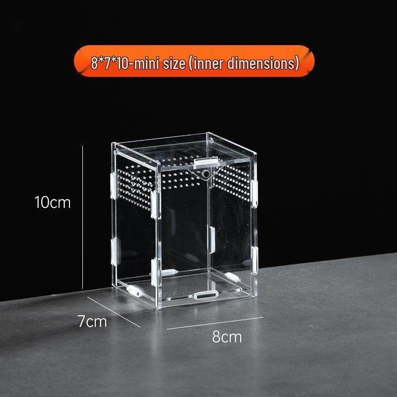 Small Acrylic Reptile Habitat: Transparent Observation Box for Spider, Lizard, Mantis, and Rainforest Landscape