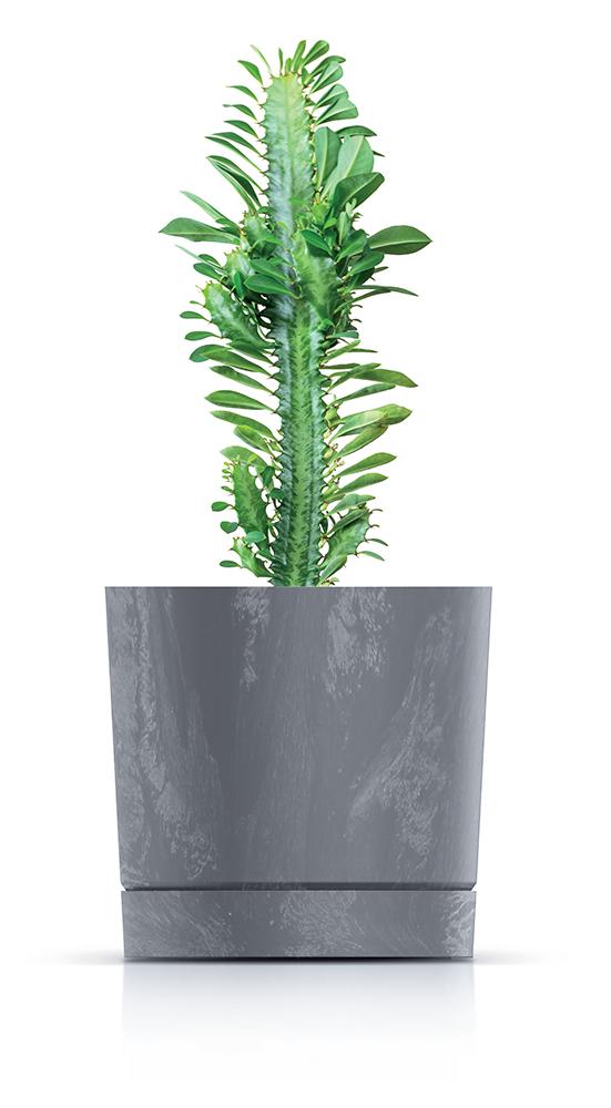 Round Pot Tubo P Concrete Effect 200E with Saucer | Anthracite