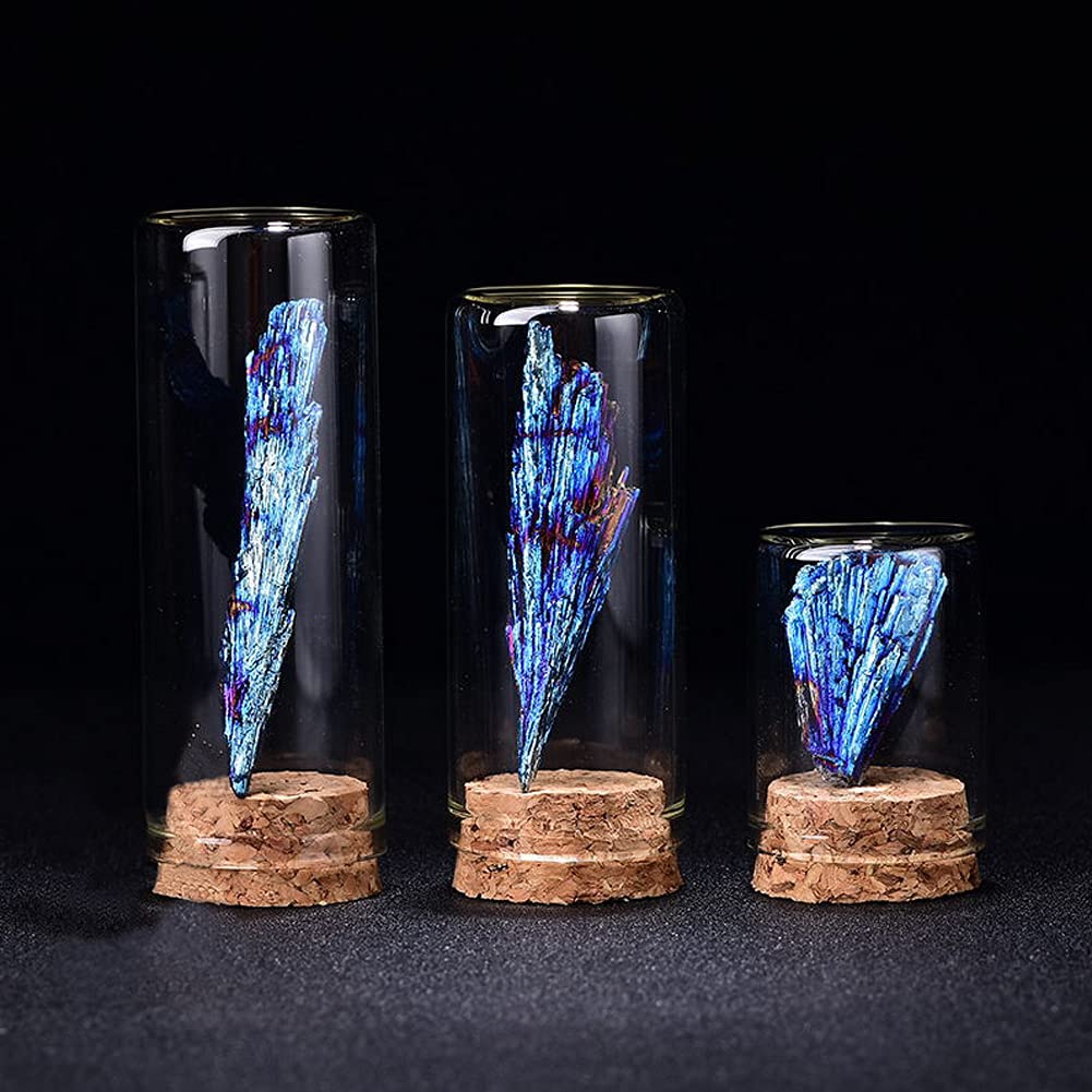 HIGHAWK Rock Specimen Natural Stone Glass Cover Ore Dustproof Figurine Ornament Display Specimen Box Table Collection Geological Science Decoration