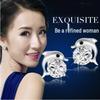 Weihua Dolphin Silver-Plated Earrings - Korean Fashion Temperament for Women