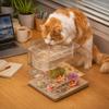 Creative Transparent Double-layer Fish Tank Plastic Cube Cat Water Bowl Shatterproof Cat Drinking Bowls Gift