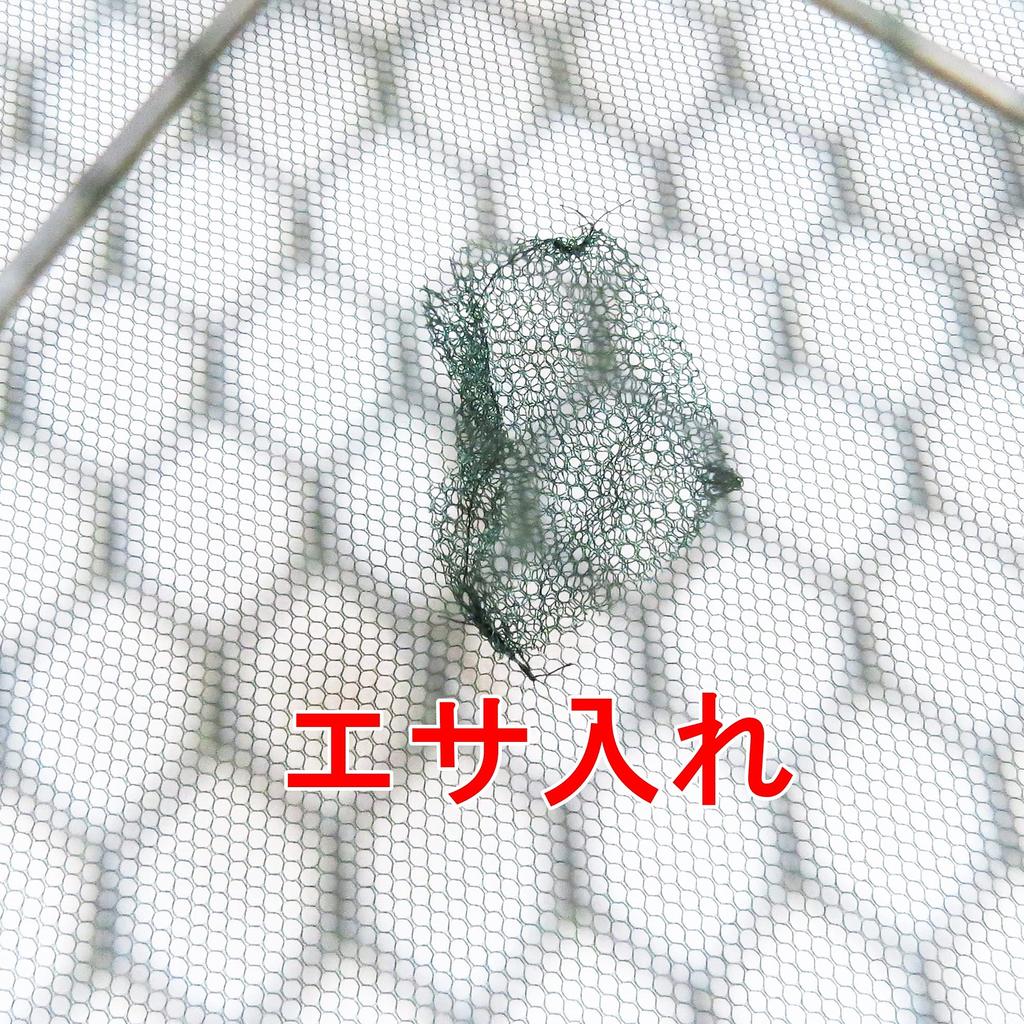 MBK Cage Invasion Type Fishing Net for Secure Capture Just Add Bait and Just Easy Assembly Fishing Net for and Fish 6-Hole Umbrella-Type - Wait! Sink!