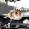 Accesorii pentru interiorul mașinii – Jucării auto şi decorațiuni