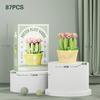 Flower Succulent Potted Model Building Block Diy Eternal Bouquet Home Desk Plant Decor Brick Girl Gift Children Toy
