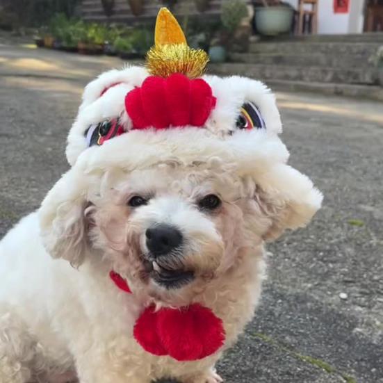 Pet Hat Super Soft Wear Resistant Flannel Medium Dogs Cats New Year