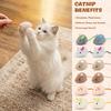 Kedi – Kedi Oyuncakları