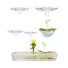 Hydroponic Floral Arrangement Holder Transparent Acrylic Desktop Decoration Multifunctional Container
