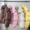Women's Winter Warm Jacket With Hood Windproof Hooded Jacket With Pockets Full Zip Padded Coat Casual Warm Quilted Thick Coat Outwear for Women