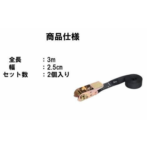 Gany Ratchet-Type Tie-Down Belts for Cargo and Roof Use (2.5cm x 3m)