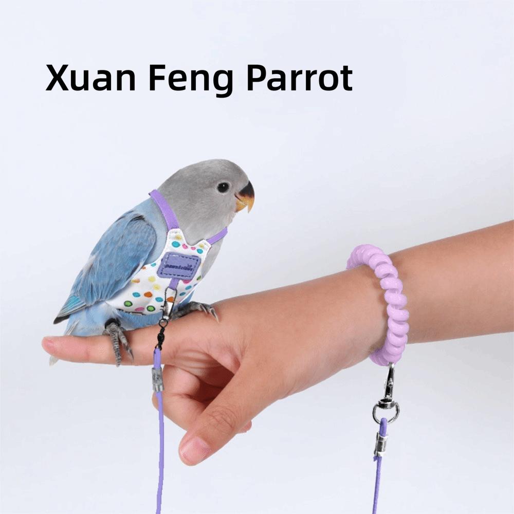 

Adjustable Parrot Flying Harness Anti-Bite Parrot Flight Harness Bird Flight Suit Small Parrots Purple-Style4