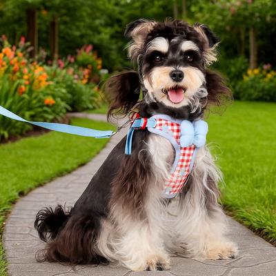 Adjustable Dog Bow Harness Breathable Comfortable Dog Cooling Vest Splicing Candy Color Pet Traction Rope Pet Walking Training