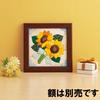 Sakura Horikiri Kimekomi Birthday Flower August Sunflower 5043245