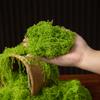 100G Fake Moss Diy Crafts Artificial Moss Faux Green Plants Home Room Garden Decoration Mini Landscape Fake Grass