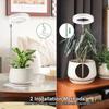 LED Telescopic Plant Growth Lamp: Angel Ring Full Spectrum Red & Blue Light for Succulents & Flowers