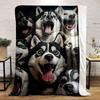 Husky Dog Print Blanket Bedroom Blanket for Livingroom Couch Lunch Break Soft Throw for Friend's Festival Gift