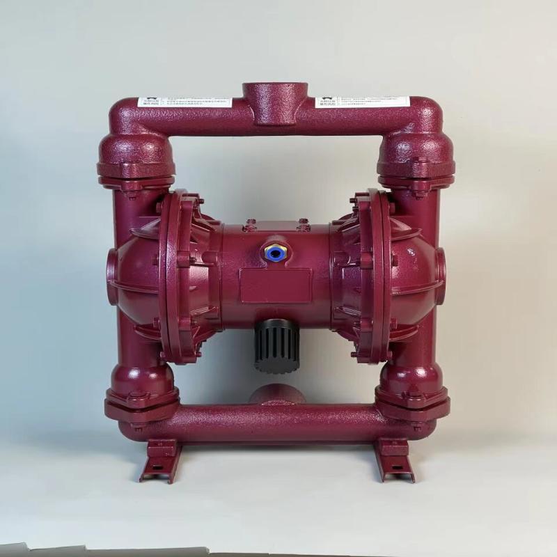 Aokewen Pneumatic Diaphragm Pump