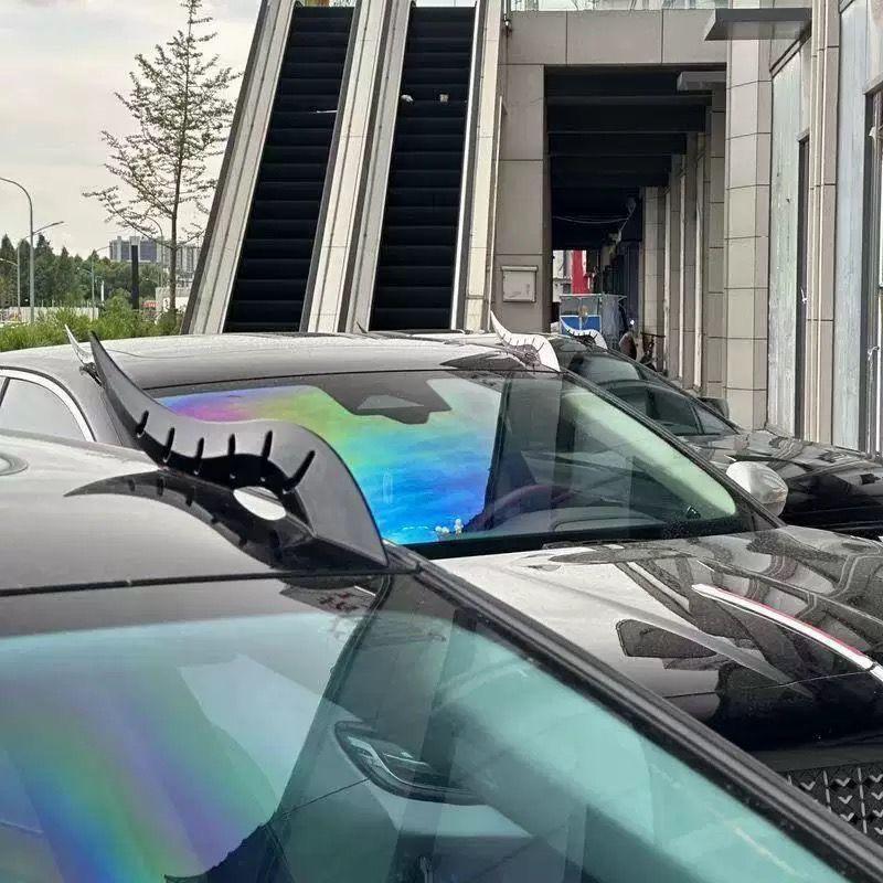 Καμπυλωτή Αεροτομή Κέρατου Δράκου: Μοναδικά Πτερύγια Διακόσμησης Οροφής Αυτοκινήτου