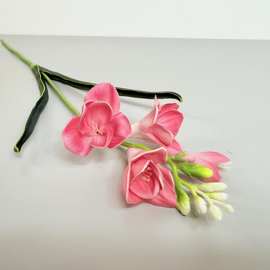Takje - schuimfreesia donkerroze 59 cm