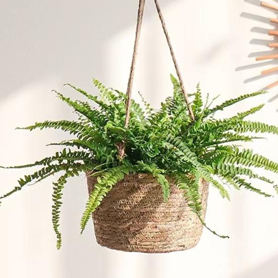 Cachepô Corda de Algodão Pendurado Cesto de Flores Robusto Tecido à Mão Plantador Charme Rústico Suporte de Plantas Vaso para Cultivo de Orquídeas