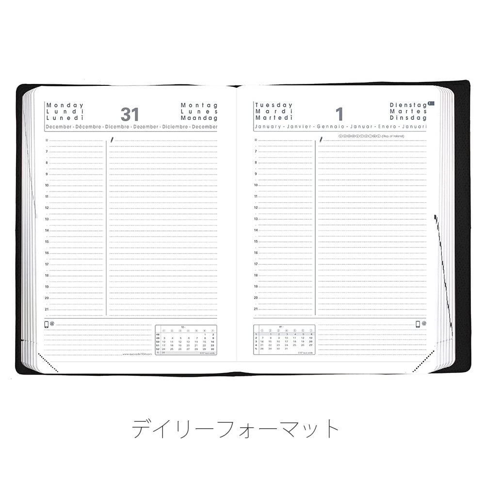 Quo Vadis 2026 Edition Planner Diary "ABP2/Anpara" (One Page Per Day, January Start, B6 Variant, 12 X 17cm, 6 Languages), Black (qv05101bk)