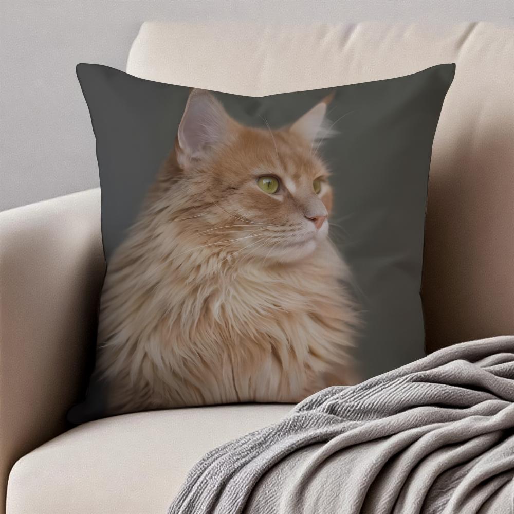 Cute Cats photograph Cushion Cover Pillowcase Antidustmite Invisible Zipper Short Plush Sofa Cushion