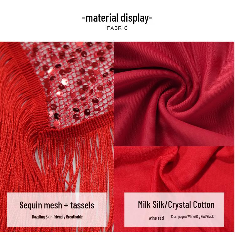 Belly Dance Sequin Tassel Hip Scarf for Stage Performance and Practice