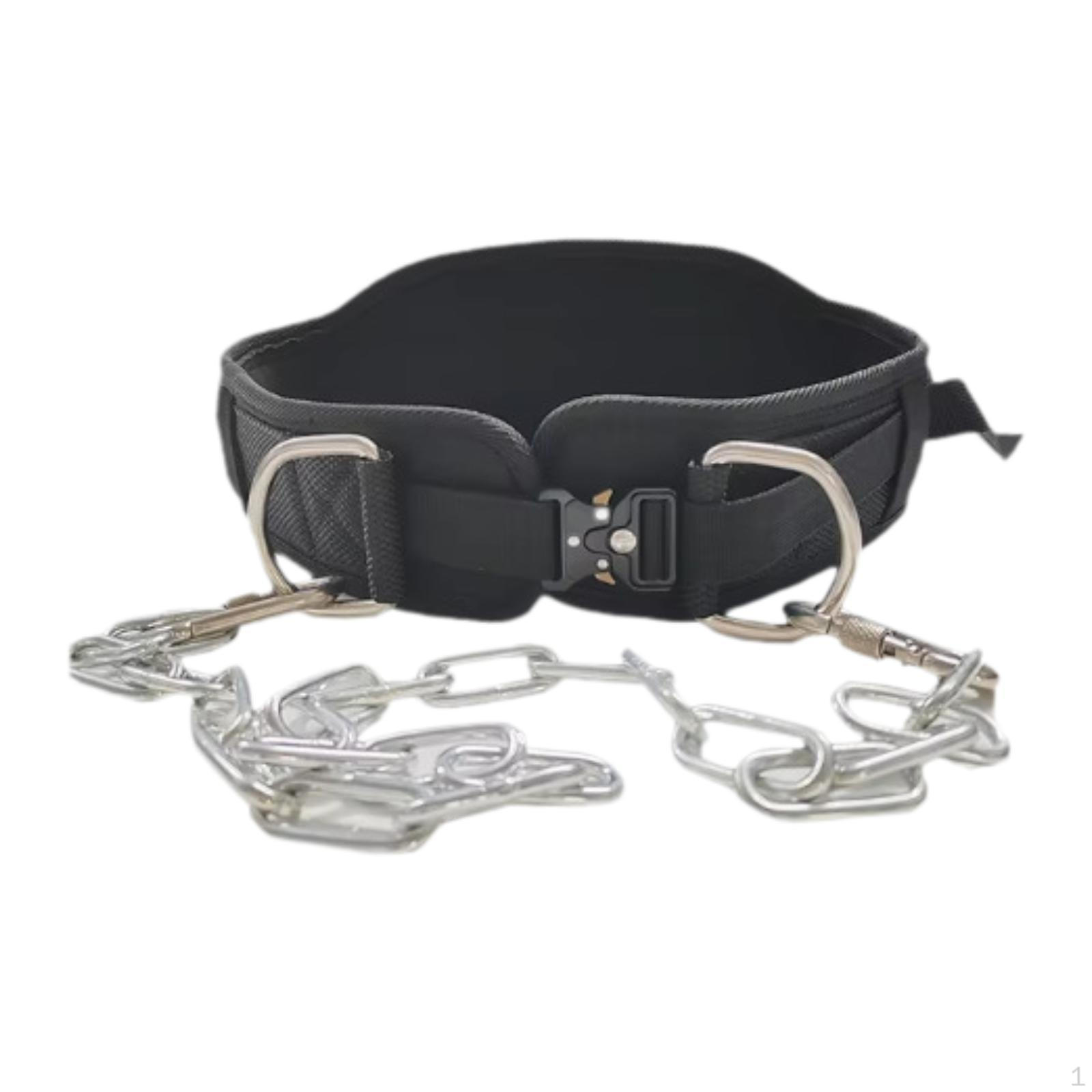 

Аксессуары для пояса Многофункциональный съемный ремень для поддержки спины Принадлежности для приседаний Тренировка Style A