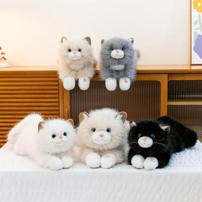 Bebek ve Peluş Oyuncaklar – Doldurulmuş ve Peluş oyuncak hayvanlar