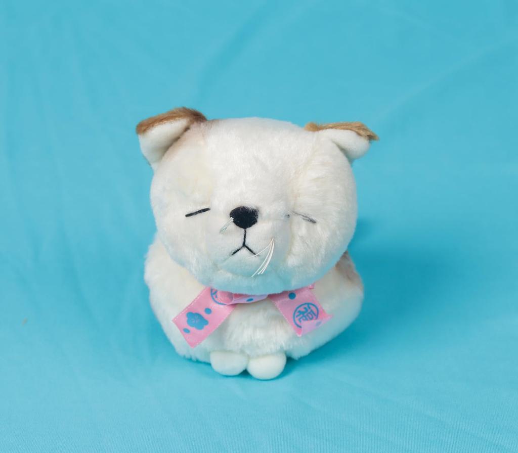 Shinada Fukurai Cat M Set of 3 Plush Toys 12cm Lucky Charm Meditating Cat Silky Fur