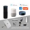 Brazil Tuya Wifi Smart Socket App Voice Control Support Google Home Alexa Plug Timing Power Monitor Outlet Home Appliance