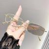 Photo-sensitive Gray-scale Small Frame Fashionable Anti-blue Light Glasses High-end Color-changing Near-sighted Glasses 026
