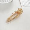 Barrette à cheveux en acrylique imprimé léopard: Barrette à frange rétro haut de gamme pour femmes