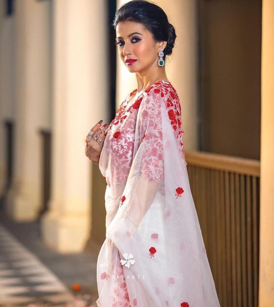 بلوزة ساري هندية مطرزة من الأورجانزا الثقيلة مصممة للحفلات، من تصميم بوليوود