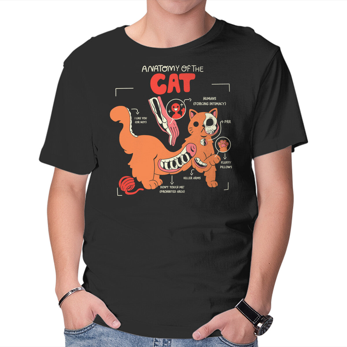 Unisex Crew Neck T-Shirt Anatomy Of The Cat Graphic Short Sleeve Casual Tee XXL