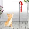 5 Pcs Kitten Pet Cat Teaser Turkey Feather Interactive Fun Toy Wire Chaser Wand + Bell Pet Products Cat Toys Interactive