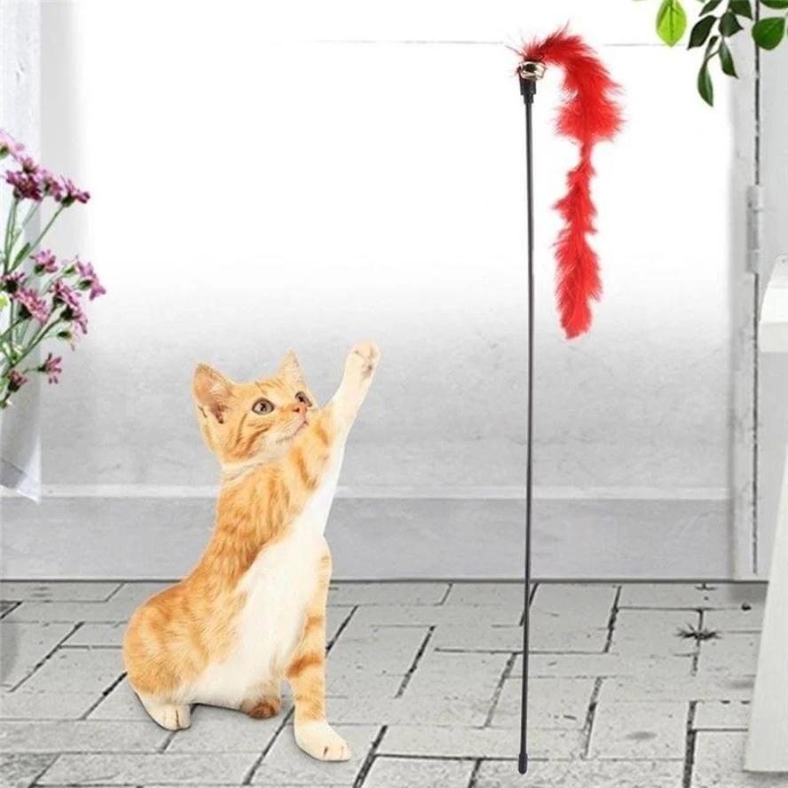 5 Pcs Kitten Pet Cat Teaser Turkey Feather Interactive Fun Toy Wire Chaser Wand + Bell Pet Products Cat Toys Interactive