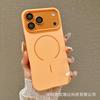Applicable To iPhone11promax Matte Magnetic Mobile Phone Case Apple 11 Skin Color Contrasting Two-in-one Protective Case 11