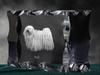 Puli, Hungarian Water Dog – Crystal with a picture of a dog, glass statuette with a picture | Art-Dog