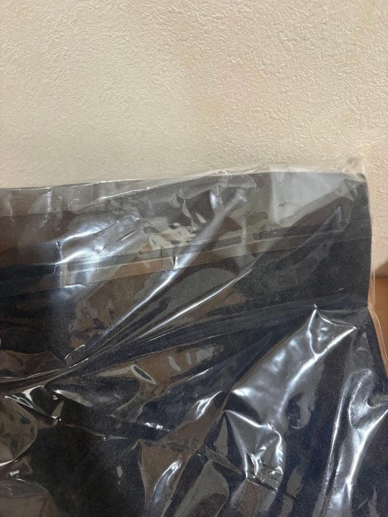 [USED] Stray Kids dominATE JAPAN Long T-shirt, XL Size