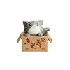 Lovely Box Cartoon Cat Miniature Landscape Decor Bonsai Resin Crafts Ornament