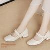 French Mary Jane Autumn New Shoes with Skirt Soft Sole Soft Leather Single Shoes Temperament Thick Heel Small Leather Shoes