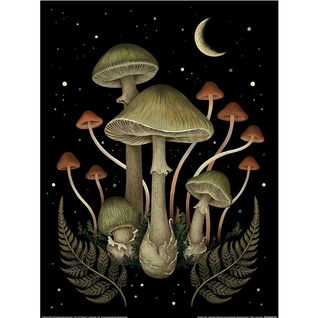 Episodic Drawing Death Cap Print