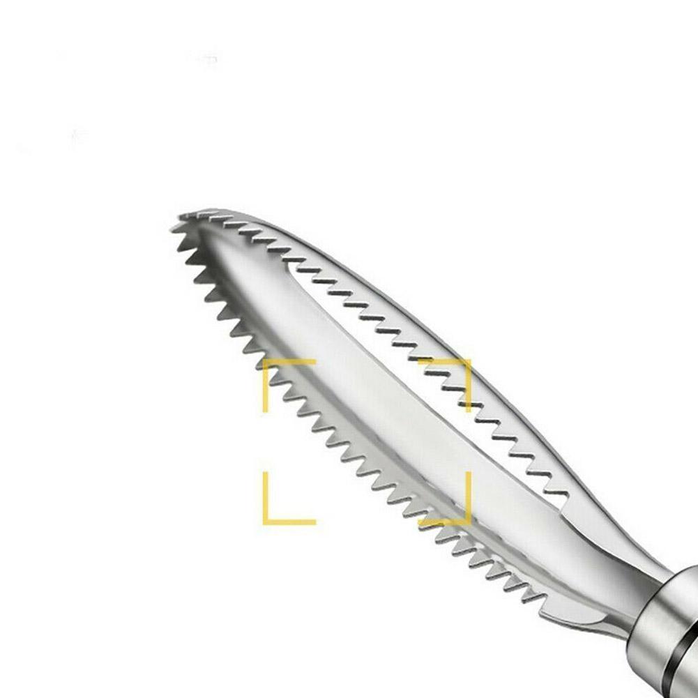 Stainless Steel Manual Fish Scaler, Universal Cleaner, Fish Scale Scraper