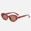 Stylish Small Elliptical Frame Sunglasses Female Sun Shades Protection Sun